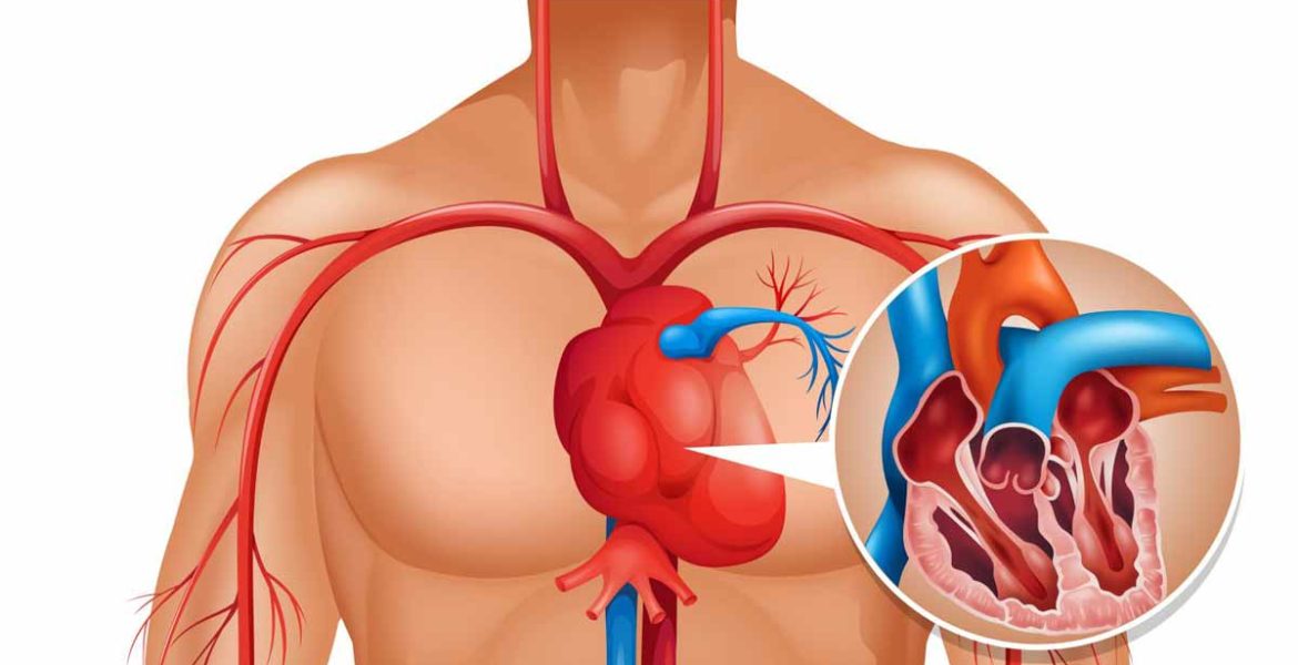 Kalp Kapak Hastalıkları Tedavisi
